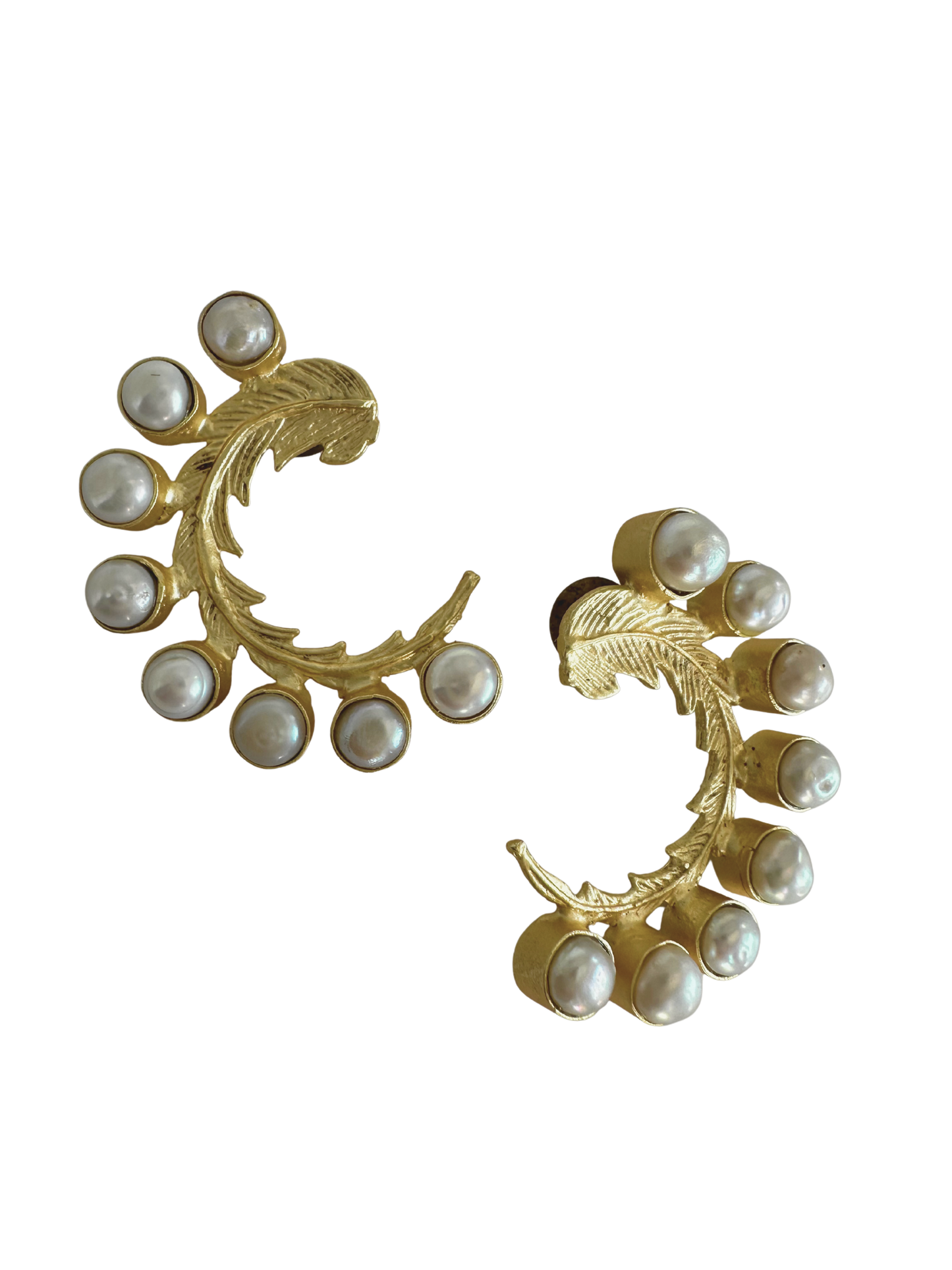 Oceana Collection - Crest